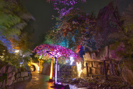 Eröffnung des Christmas Garden 2022 in Hannover