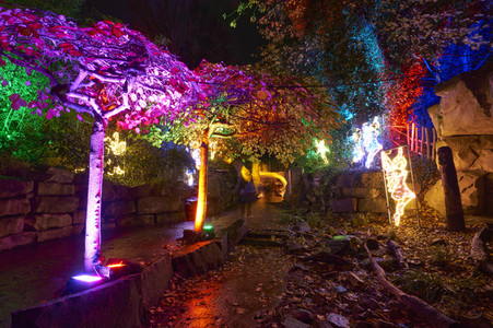 Eröffnung des Christmas Garden 2022 in Hannover