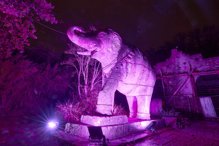 Eröffnung des Christmas Garden 2022 in Hannover