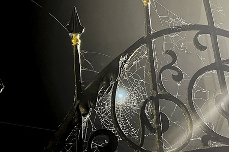 Spinnennetz in Hannover