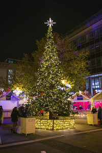 Lichterwelt Magdeburg