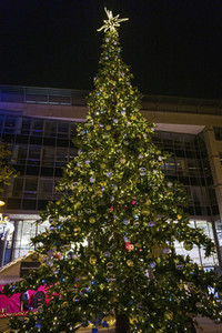 Lichterwelt Magdeburg
