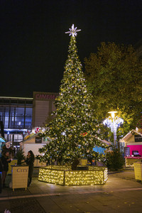 Lichterwelt Magdeburg