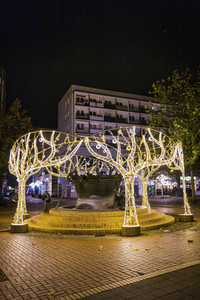 Lichterwelt Magdeburg