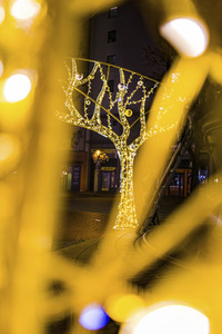 Lichterwelt Magdeburg