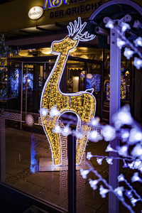 Lichterwelt Magdeburg