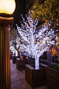 Lichterwelt Magdeburg