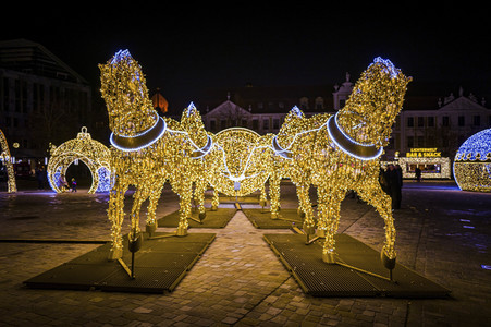 Lichterwelt Magdeburg