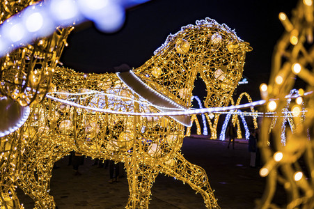 Lichterwelt Magdeburg