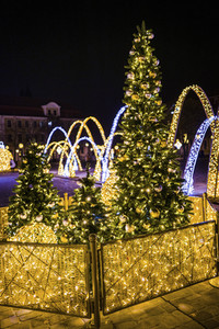 Lichterwelt Magdeburg