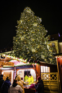 Weihnachtsmarkt 2022 in Magdeburg