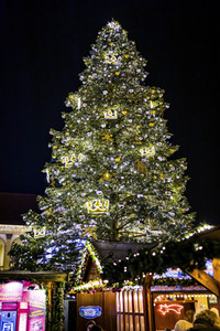 Weihnachtsmarkt 2022 in Magdeburg