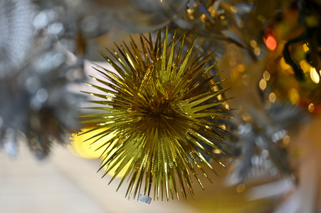 Weihnachtsmarkt 2022 in Bamberg
