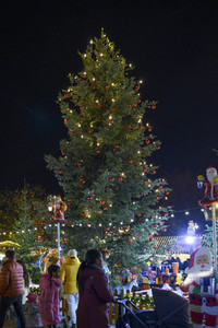 Mittelalterlicher Weihnachtsmarkt 2022 in Fürth