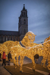 Lichterwelt Magdeburg