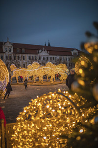 Lichterwelt Magdeburg