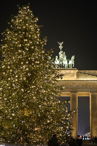 Weihnachtsbaum in Berlin