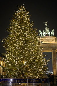 Weihnachtsbaum in Berlin