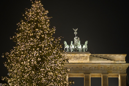 Weihnachtsbaum in Berlin