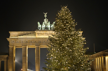 Weihnachtsbaum in Berlin