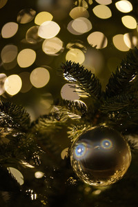 Weihnachtsbaum in Berlin