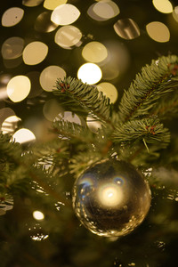 Weihnachtsbaum in Berlin