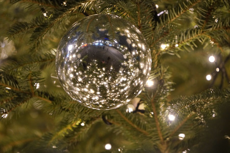 Weihnachtsbaum in Berlin