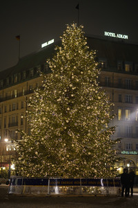 Weihnachtsbaum in Berlin