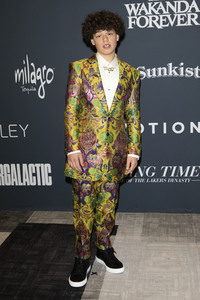 Celebration of Black Cinema & Television 2022 in Los Angeles