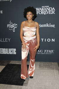 Celebration of Black Cinema & Television 2022 in Los Angeles