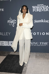 Celebration of Black Cinema & Television 2022 in Los Angeles