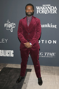 Celebration of Black Cinema & Television 2022 in Los Angeles