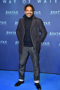 Filmpremiere 'Avatar: The Way of Water' in Berlin