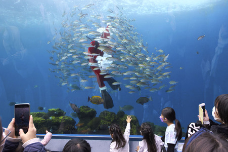 Unterwasser-Weihnachtsmann in Yokohama