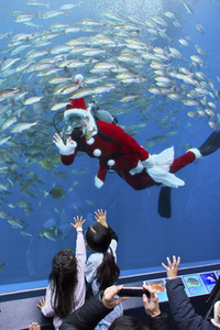 Unterwasser-Weihnachtsmann in Yokohama