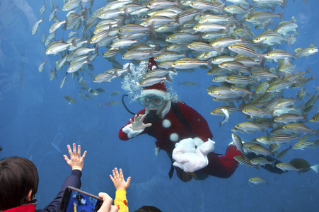 Unterwasser-Weihnachtsmann in Yokohama