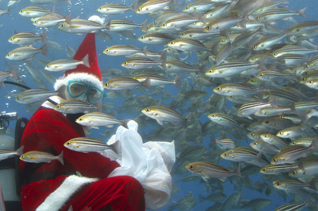 Unterwasser-Weihnachtsmann in Yokohama