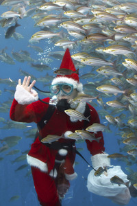 Unterwasser-Weihnachtsmann in Yokohama