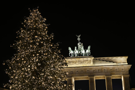 Weihnachtsbaum in Berlin