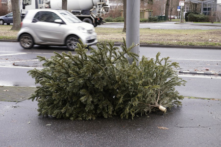 Weihnachtsbaumabholung in Berlin