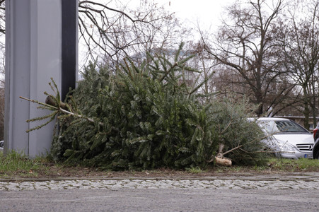 Weihnachtsbaumabholung in Berlin