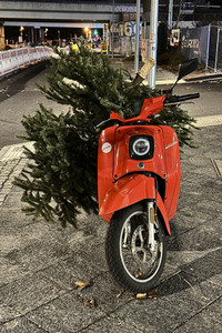 Weihnachtsbaumabholung in Berlin