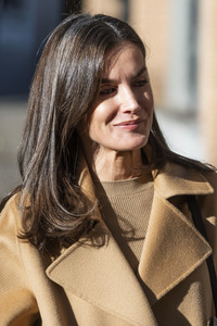 Königin Letizia besucht eine Sitzung der FEDER in Madrid