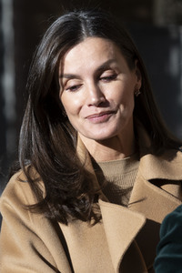 Königin Letizia besucht eine Sitzung der FEDER in Madrid