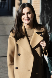 Königin Letizia besucht eine Sitzung der FEDER in Madrid