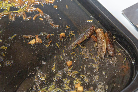 Symbolfoto Speiseinsekten