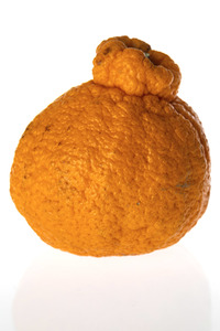 Symbolfoto Dekopon