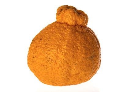 Symbolfoto Dekopon