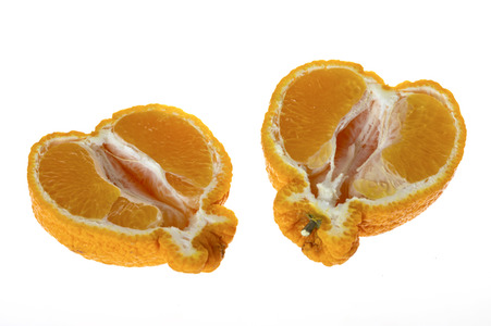 Symbolfoto Dekopon