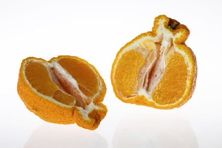 Symbolfoto Dekopon